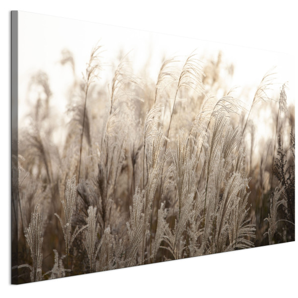 LUMASOUL Jednoczęściowy obraz, Motyw Naturalny, Rozmiar 120x40 cm 953370