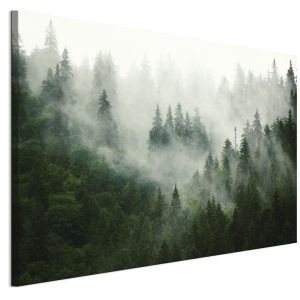 LUMASOUL Jednoczęściowy obraz, Motyw Naturalny, Rozmiar 120×80 cm 953352