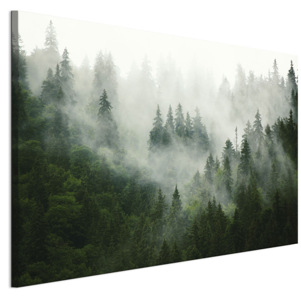 LUMASOUL Jednoczęściowy obraz, Motyw Naturalny, Rozmiar 120x80 cm 953352