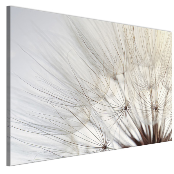 LUMASOUL Jednoczęściowy obraz, Motyw Naturalny, Rozmiar 120x80 cm 952611