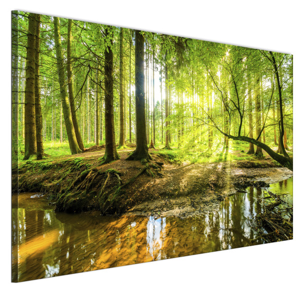 LUMASOUL Jednoczęściowy obraz, Motyw Naturalny, Rozmiar 90x60 cm 953382