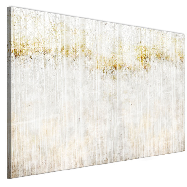 LUMASOUL Jednoczęściowy obraz, Motyw Naturalny, Rozmiar 90x60 cm 953447