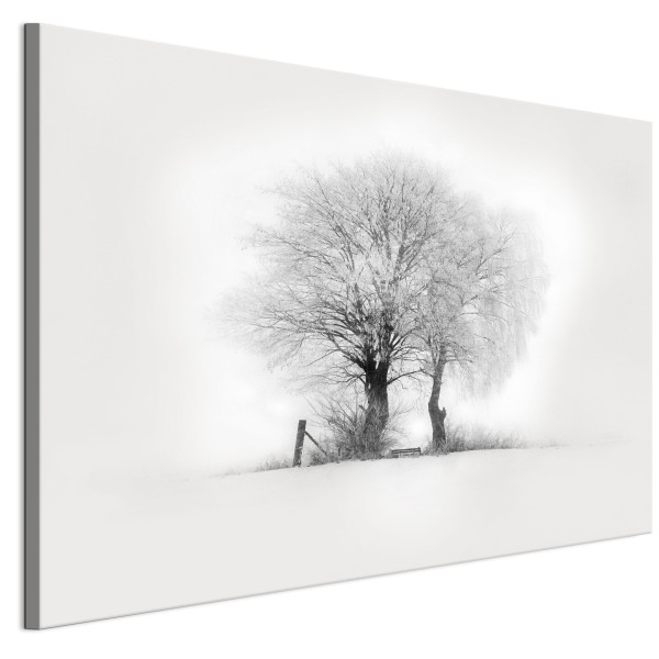 LUMASOUL Jednoczęściowy obraz, Motyw Zimowy, Rozmiar 120x80 cm 953460