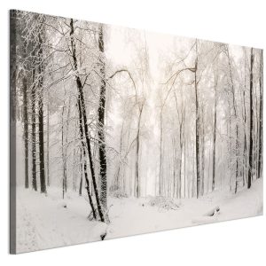 LUMASOUL Jednoczęściowy obraz, Motyw Zimowy, Rozmiar 120×80 cm 953477 LUMASOUL Jednoczęściowy obraz, Motyw Zimowy, Rozmiar 120×80 cm 953477