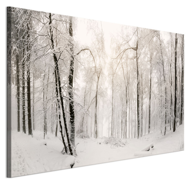 LUMASOUL Jednoczęściowy obraz, Motyw Zimowy, Rozmiar 120x80 cm 953477