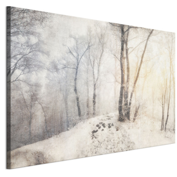 LUMASOUL Jednoczęściowy obraz, Motyw Zimowy, Rozmiar 90x60 cm 952616