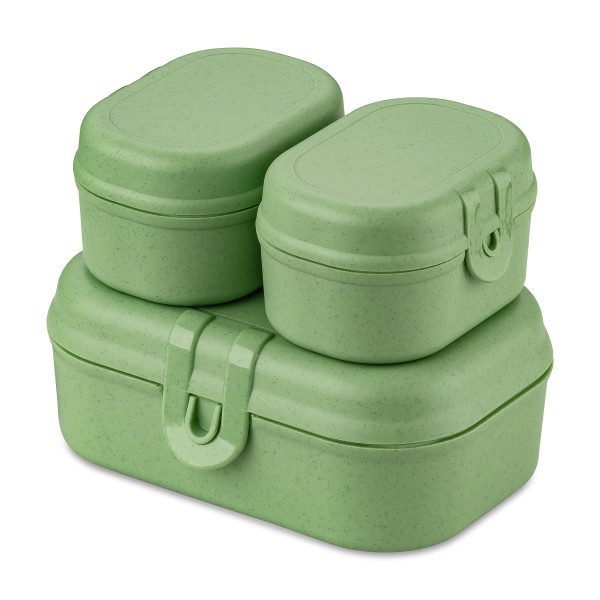 Lunchbox PASCAL READY MINI, zestaw 3 pojemników, KOZIOL 298379