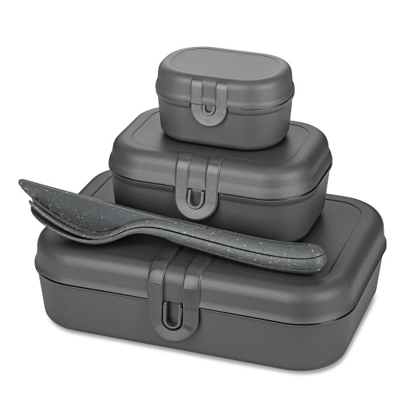Lunchbox PASCAL READY, zestaw 3 pojemników i sztućce, KOZIOL 286387