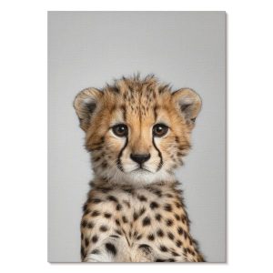 Nowoczesne plakaty A1 Gepard minimalistyczne tło projektu Project Concept 1012863 Nowoczesne plakaty A1 Gepard minimalistyczne tło projektu Project Concept 1012863