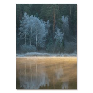 Nowoczesne plakaty A1 Spokojny las nad taflą wody mistyczna aura 1007565