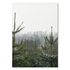 Nowoczesne plakaty A2 Zielone sosny mgła atmosfera relaksu 977501 Nowoczesne plakaty A2 Zielone sosny mgła atmosfera relaksu 977501