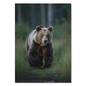 Nowoczesne plakaty A3 Dumny niedźwiedź w otoczeniu leśnym natura 978622 Nowoczesne plakaty A3 Dumny niedźwiedź w otoczeniu leśnym natura 978622