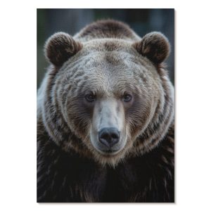 Nowoczesne plakaty A3 Realistyczny portret niedźwiedzia spokój siła 979879 Nowoczesne plakaty A3 Realistyczny portret niedźwiedzia spokój siła 979879