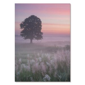 Nowoczesne plakaty A3 Samotne drzewo w mgle pastelowe niebo 978071 Nowoczesne plakaty A3 Samotne drzewo w mgle pastelowe niebo 978071