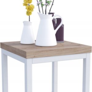 Nowoczesny Stojak Na Kwiaty 20x20x19 Loft Salon Biały+Dąb Artisan 926486