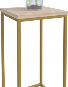Nowoczesny Stojak Na Kwiaty 30x30x59 Loft Salon Złoty+Dąb Sonoma 934293 Nowoczesny Stojak Na Kwiaty 30x30x59 Loft Salon Złoty+Dąb Sonoma 934293