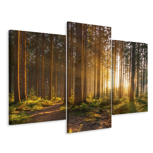 Obraz 3-Częściowy DRZEWA Zachód Słońca 3D 90x60cm 136713