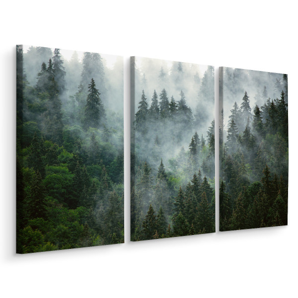 Obraz 3-Częściowy Las We Mgle 3D 120x80cm 106893