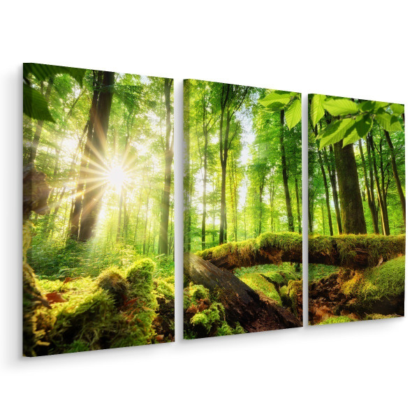 Obraz 3-Częściowy Widok Na Słoneczny Las 3D 150x100cm 137261