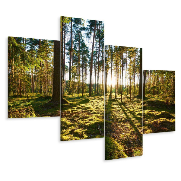 Obraz 4 Częściowy LAS DRZEWA Przyroda 3D 80x50cm 136955