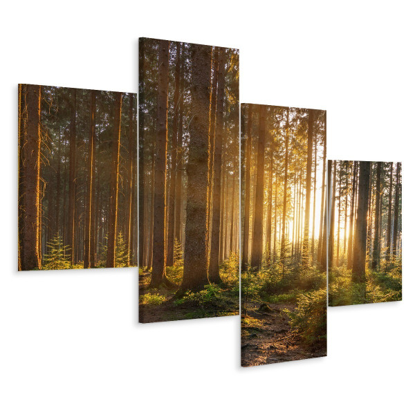 Obraz 4 Częściowy LEŚNY PEJZAŻ Słońce 3D 120x75cm 137294