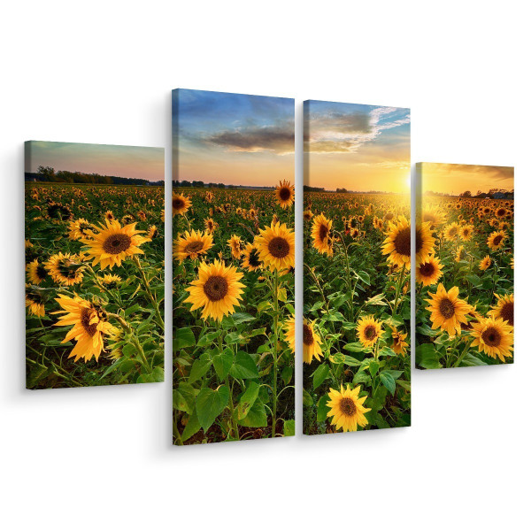 Obraz 4-Częściowy SŁONECZNIKOWE Pole 3D 120x90cm 138037