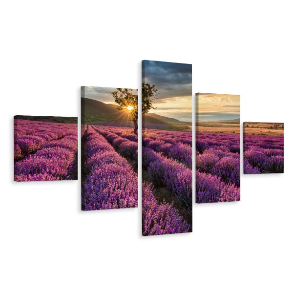 Obraz 5-Częściowy Widok Na Pole Lawendy Pejzaż 3D 150x90cm 137183