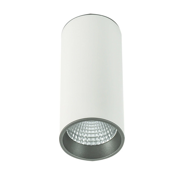 Spot okrągły biało-szary MOLDES LED 12W biały neutralny IP20 Italux 914394