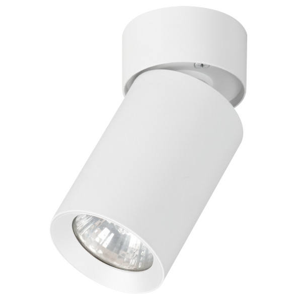 Spot okrągły biały FLEX 1xGU10x10W wym:9x6x6cm IP20 Alfa 915061