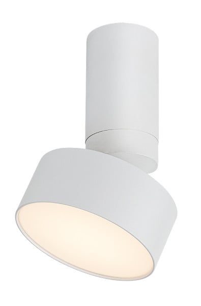 Spot OVIDIA biały LED 10W biały ciepły 640lm IP20 Rabalux 1034255