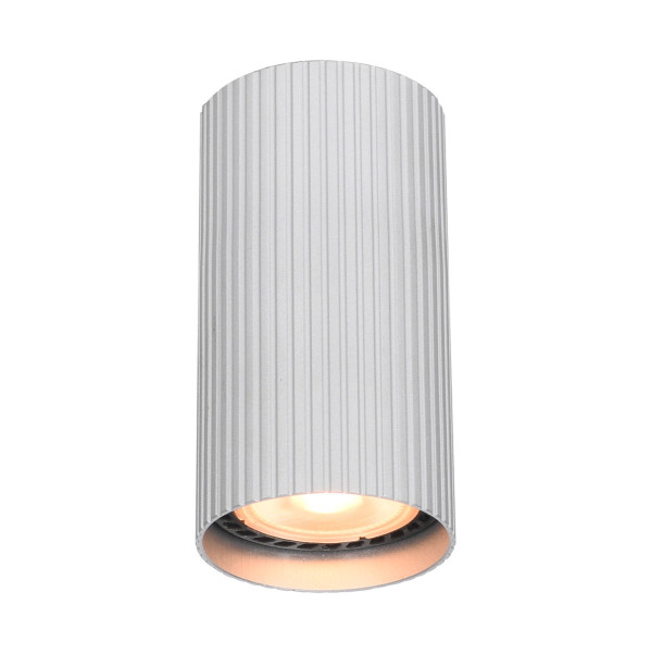 Spot reflektor okrągły aluminiowy RILOK 1xGU10x10W IP20 Italux 911951