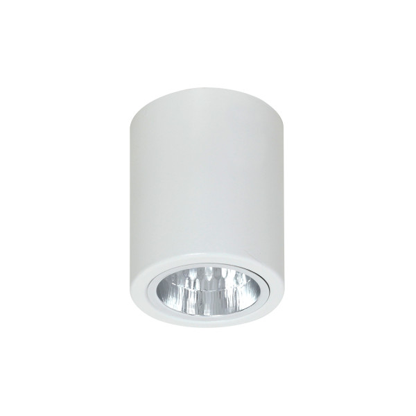 Spot reflektor okrągły biały mat Downlight round 1xE27x15W IP20 Luminex 912010