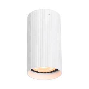 Spot reflektor okrągły biały piaskowany RILOK 1xGU10x10W IP20 Italux 912026
