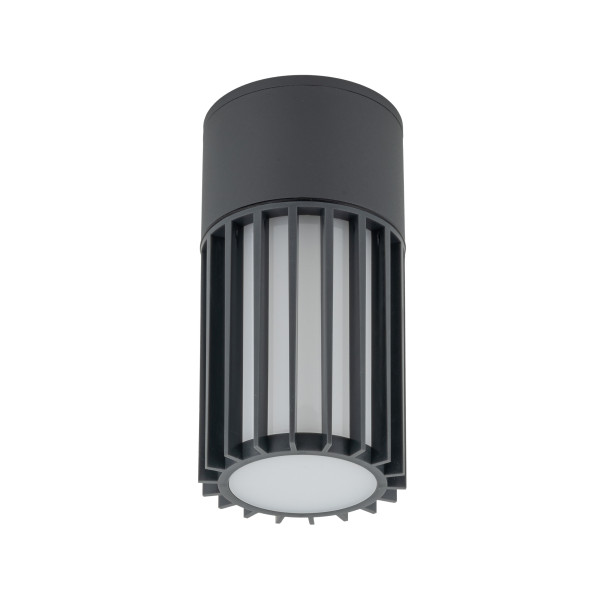 Spot Zewnętrzny Tk Lighting Ribo Gray Lampa Sufitowa Ip54 1Xe27 994119
