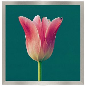 Srebrna ramka na zdjęcia 40×40 cm kwadratowa rama FRAMAI® 974060