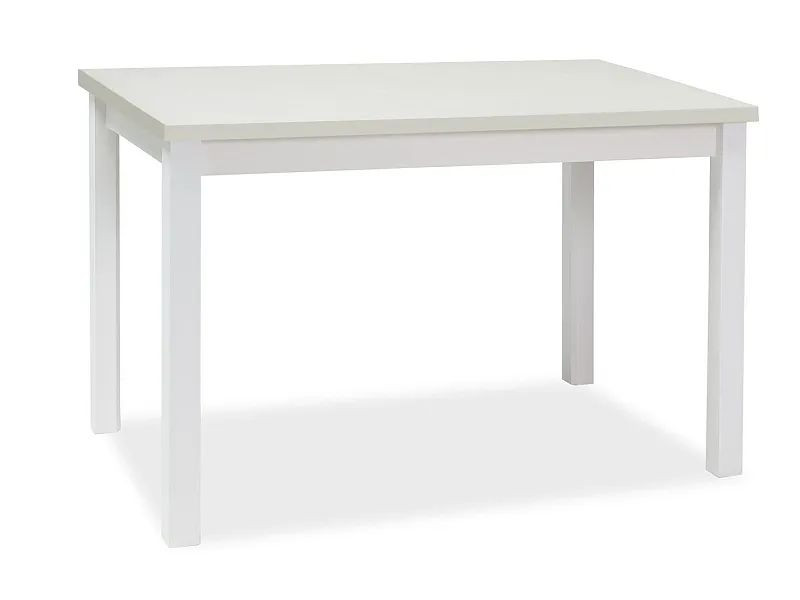 Stół kuchenny ADAM 120x68 biały mat 991638